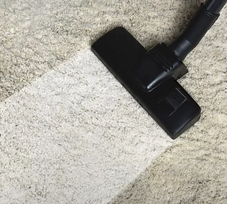 Carpet Cleaning