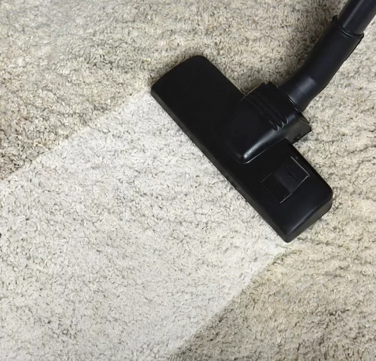 Carpet Cleaning