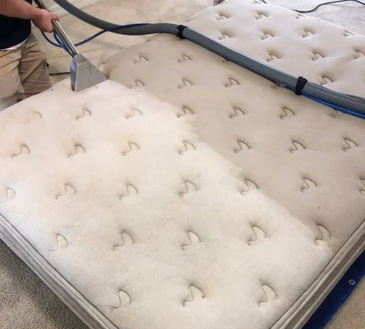 Mattress Cleaning