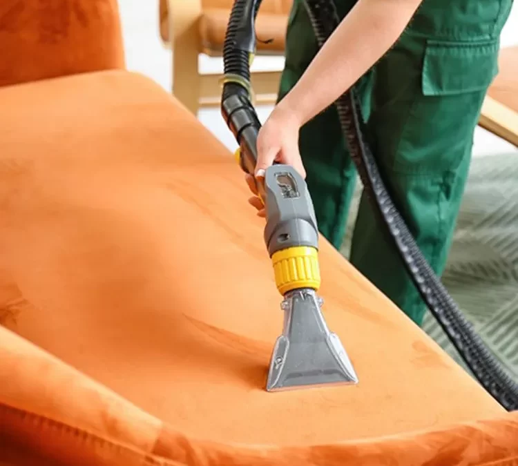 Sofa Cleaning