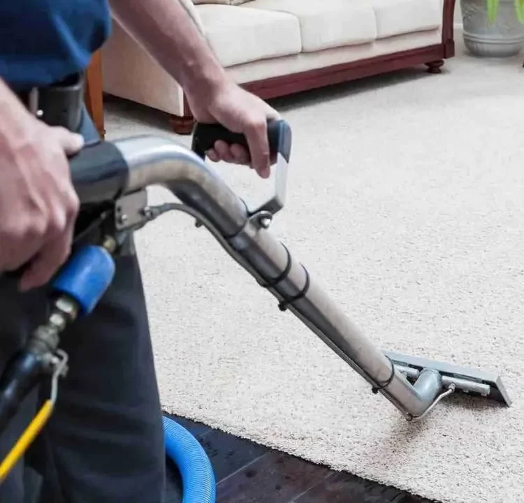 Carpet Cleaning